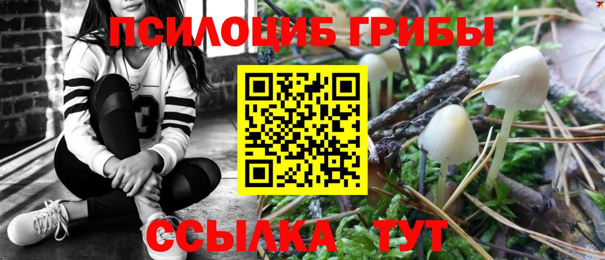 Галлюциногенные грибы прущие грибы  Вход с VPN  Кропоткин 